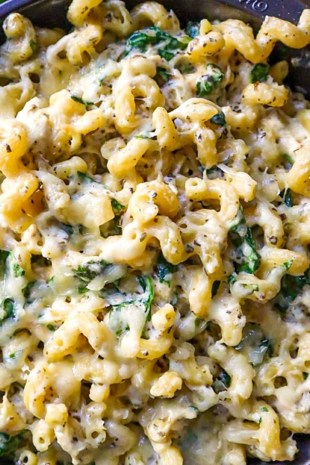 basil pesto chicken pasta