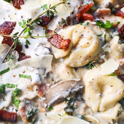 Close up of Creamy Bacon, Mushroom, & Parmesan Tortellini Soup with Parmesan