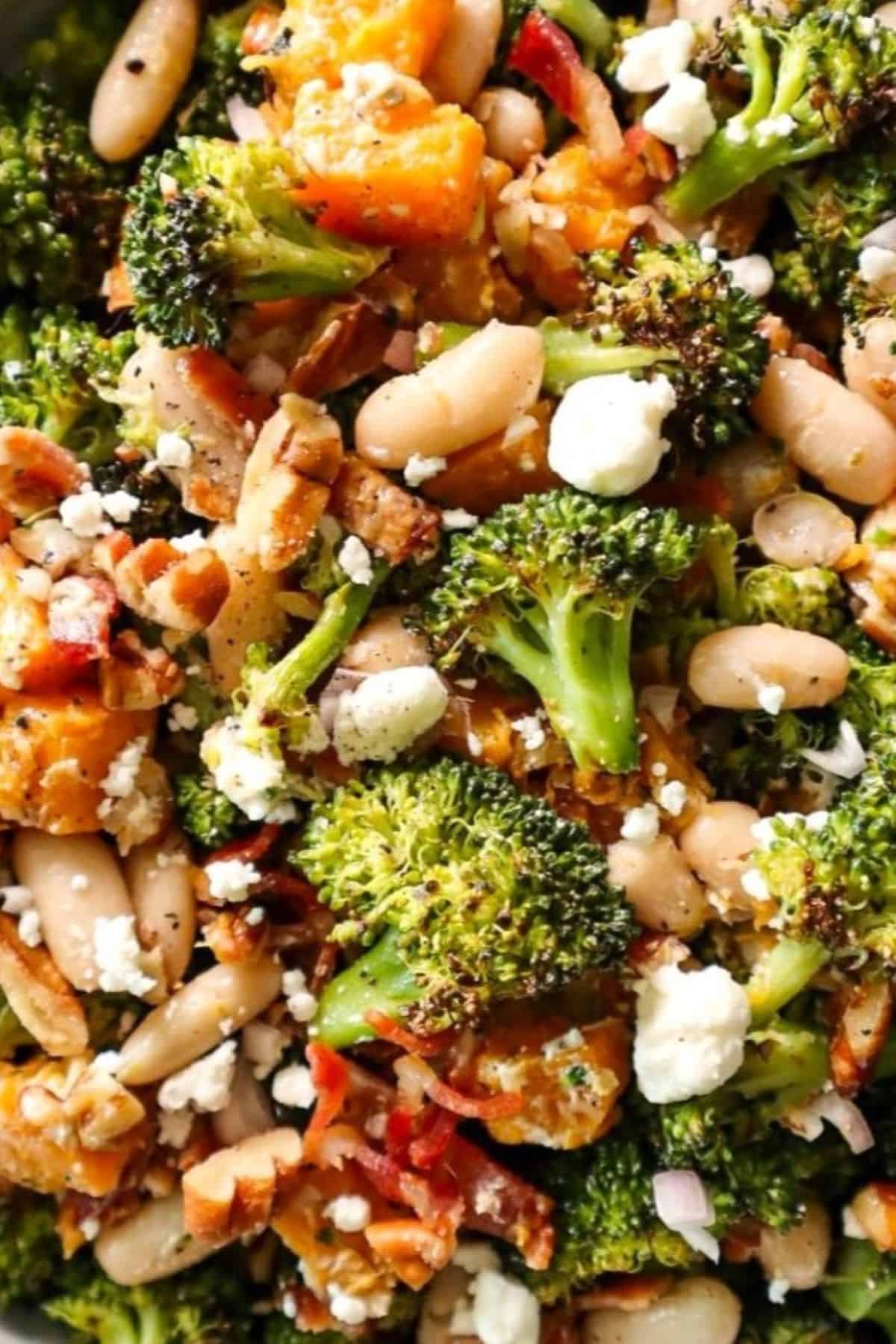 roasted broccoli salad with beans and bacon