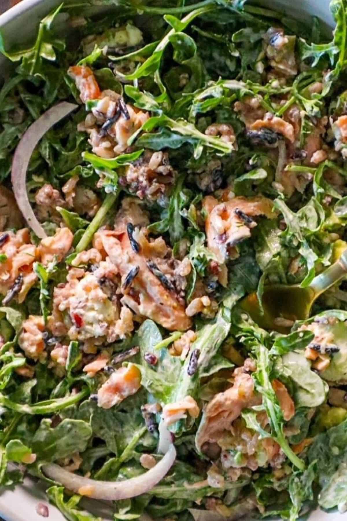 salmon salad with goat cheese