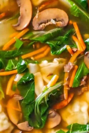 quick and easy wonton soup