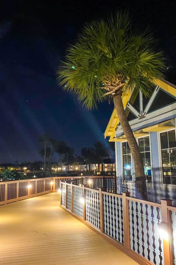 walkway and palm tree caribbean beach resort disney