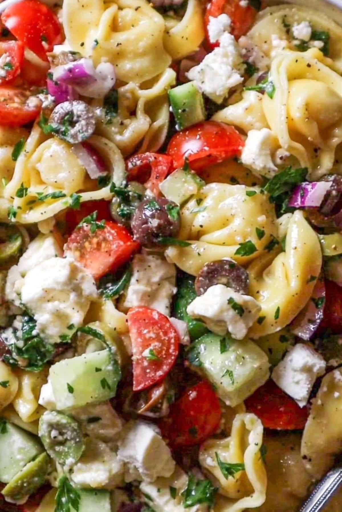 easy greek salad with tortellini