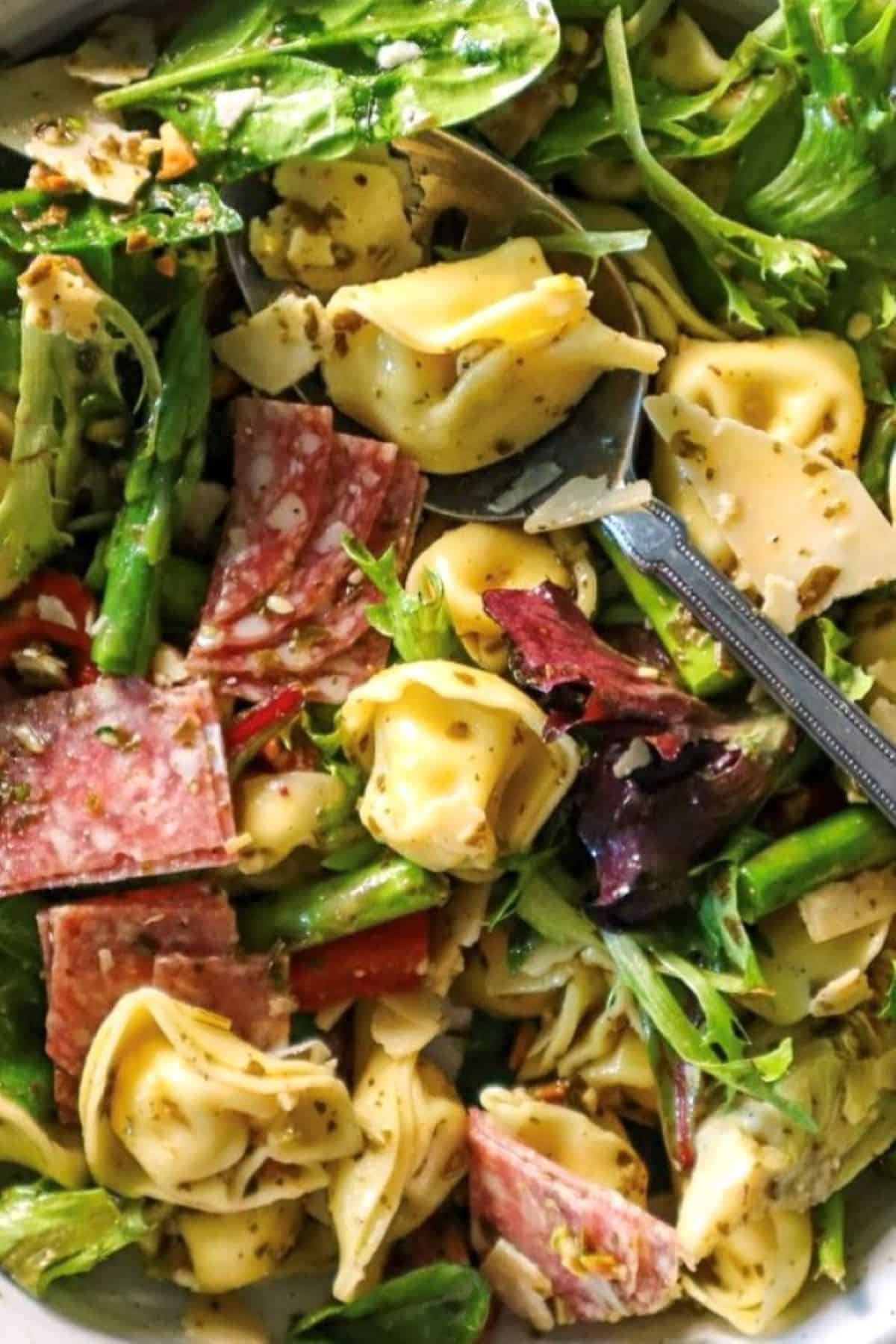 easy tortellini pesto pasta salad