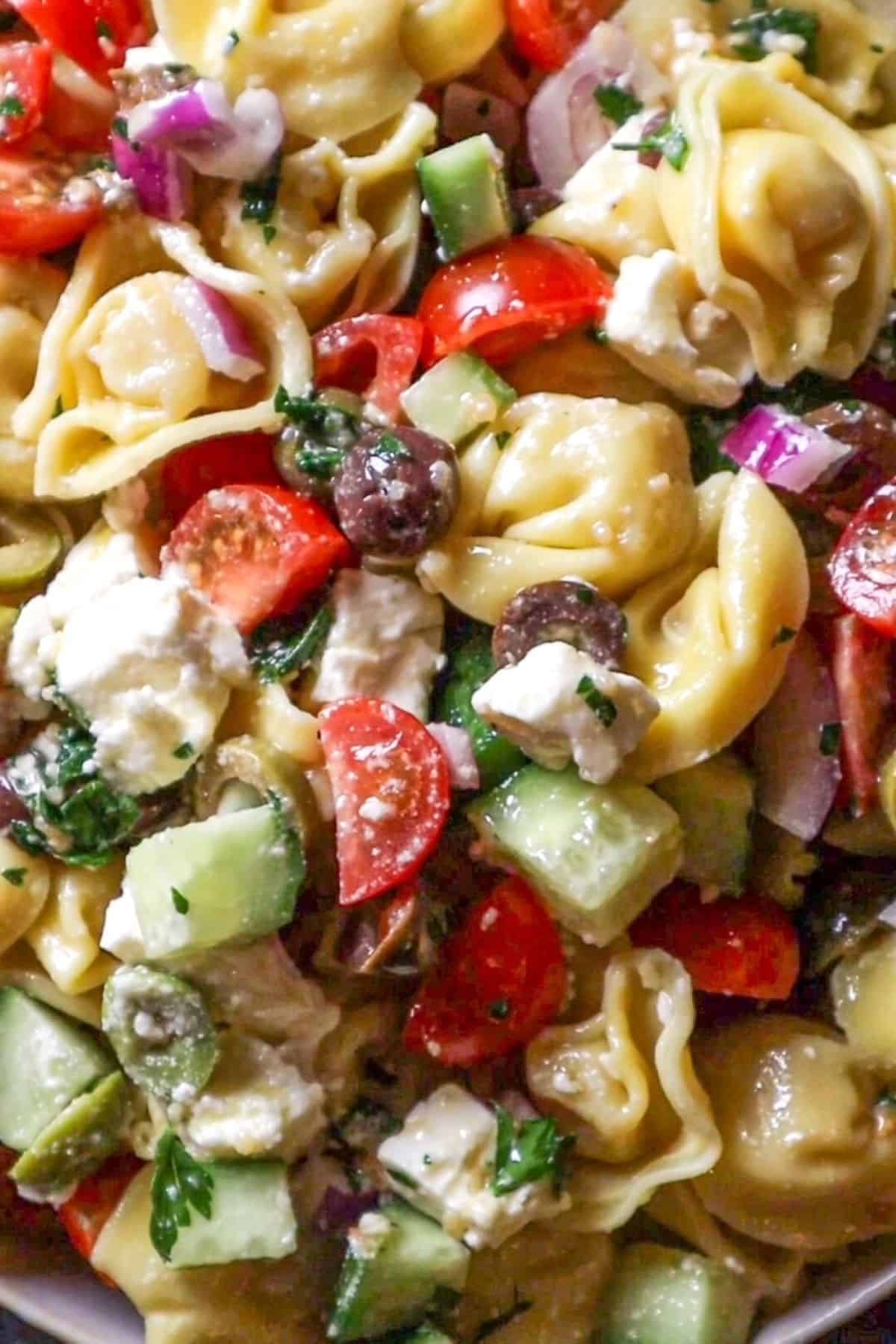 greek tortellini salad