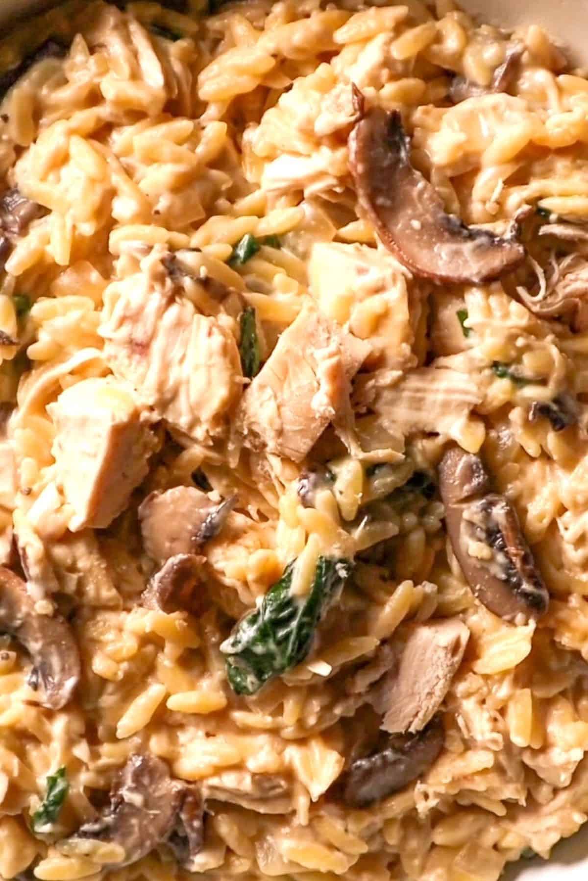 Lemon Orzo Pasta with Chicken and Spinach