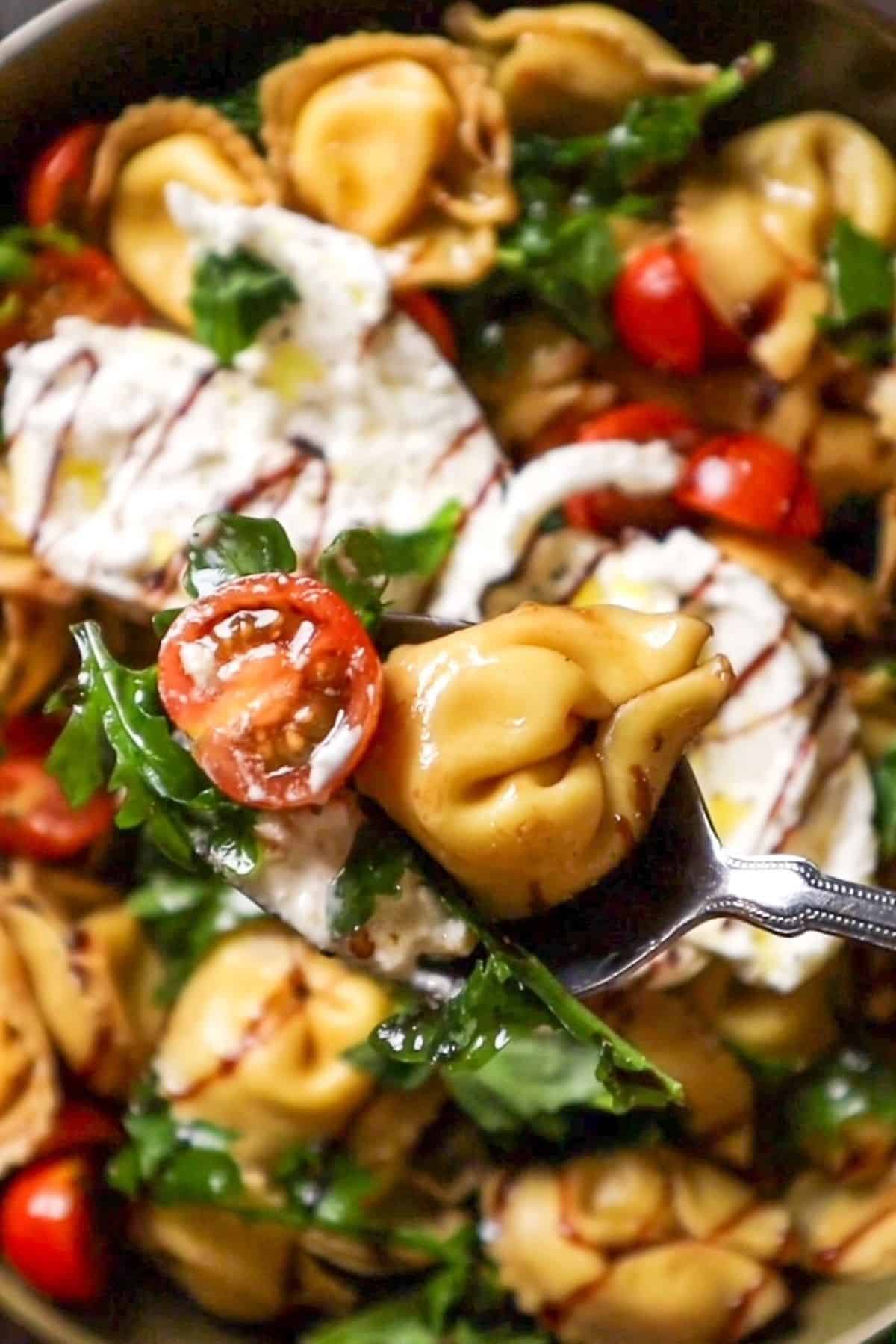 caprese tortellini with burrata