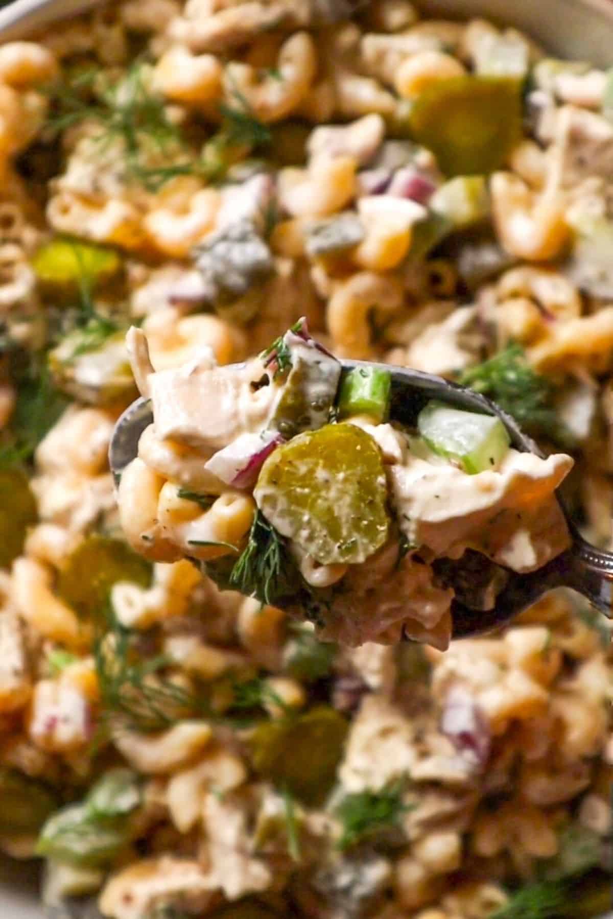 chicken salad with dill pickles and macaroni