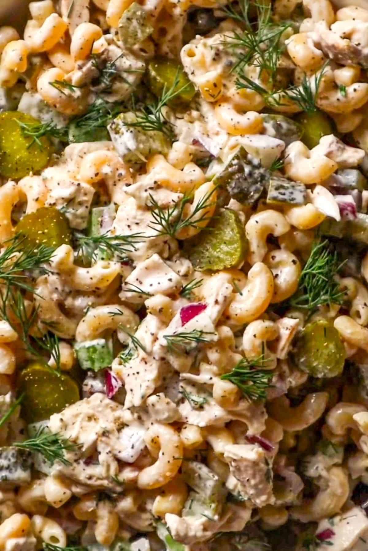 dill pickle chicken salad with macaroni