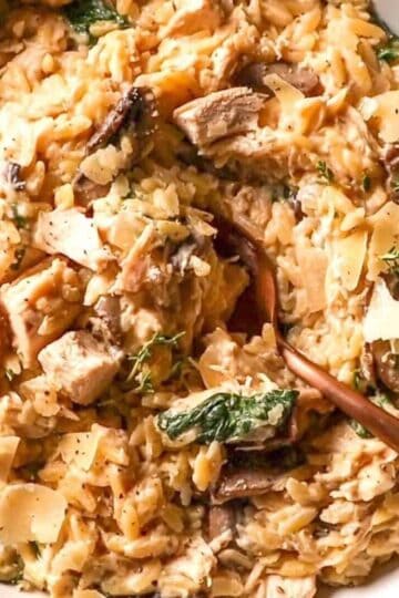 one pot lemon chicken orzo pasta with spinach