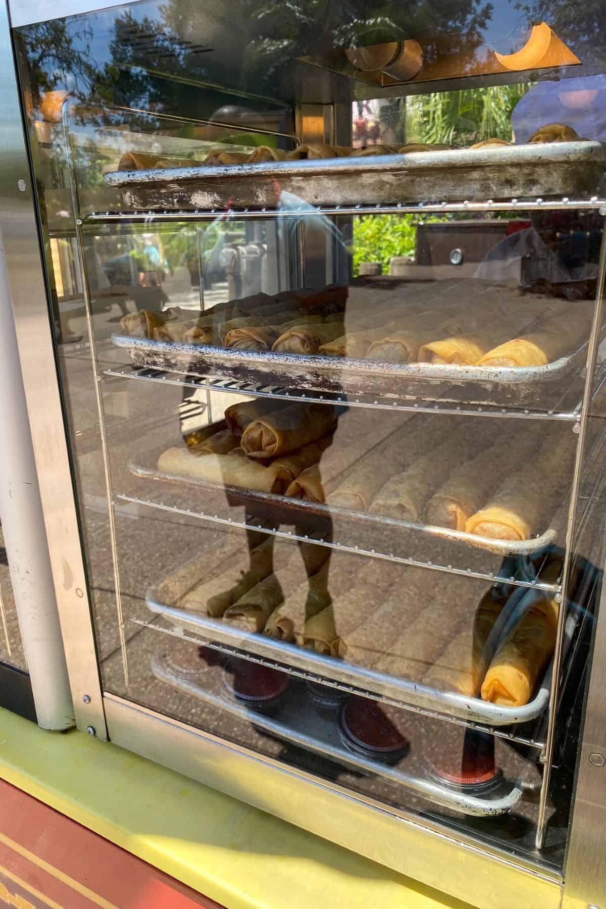 cheeseburger and pepperoni spring rolls