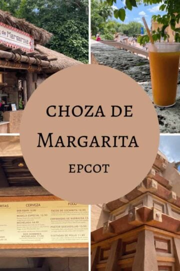choza de margarita post cover