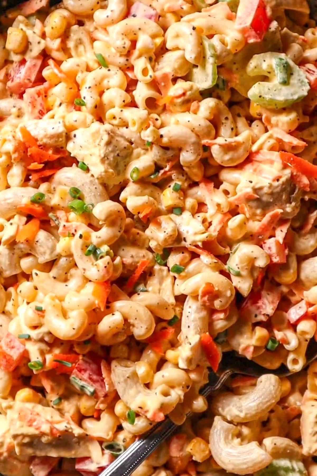 macaroni chicken pasta salad