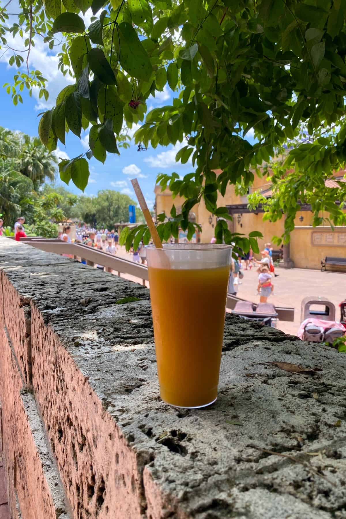 mango loco margarita choza de margarita epcot