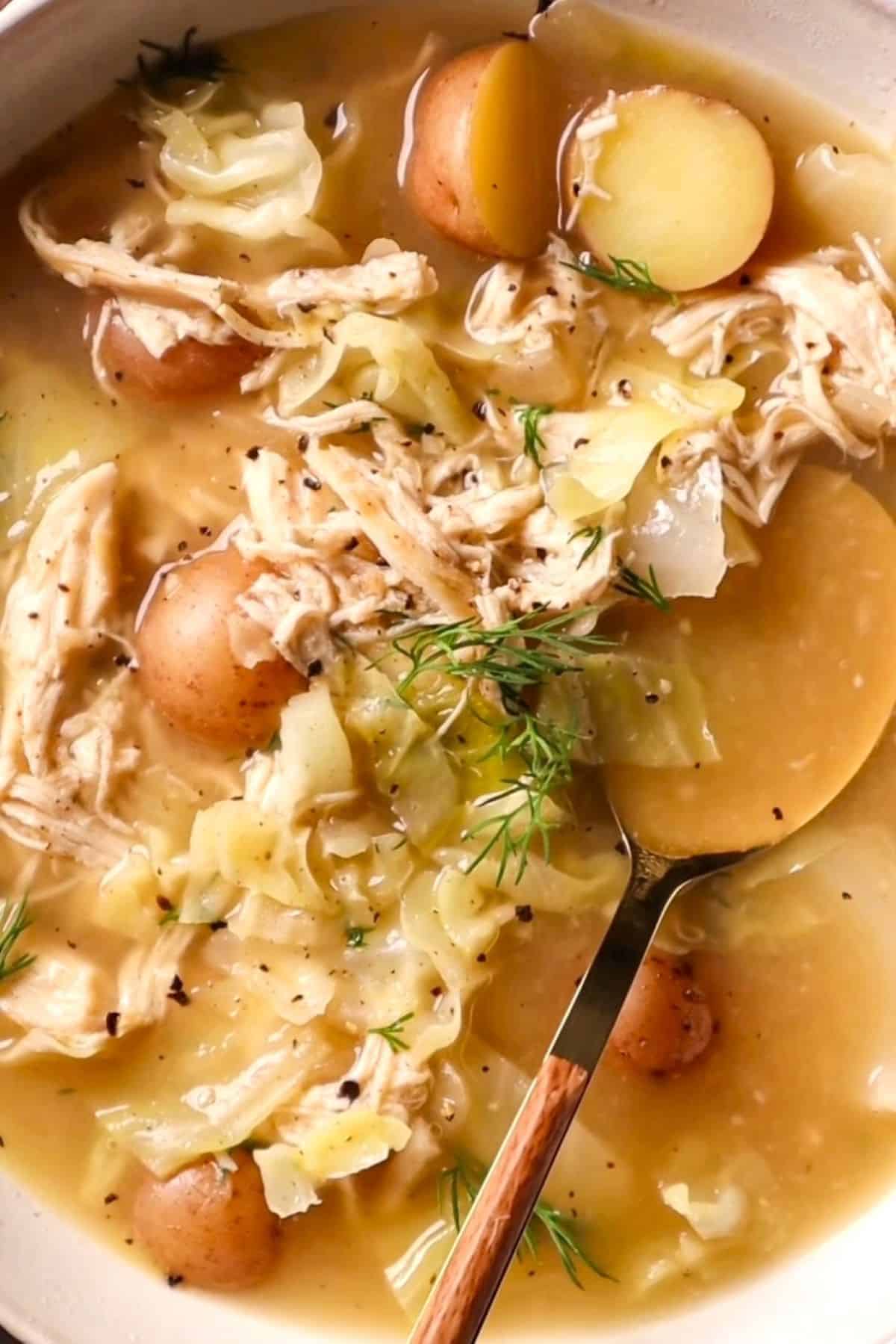 cabbage soup with chicken