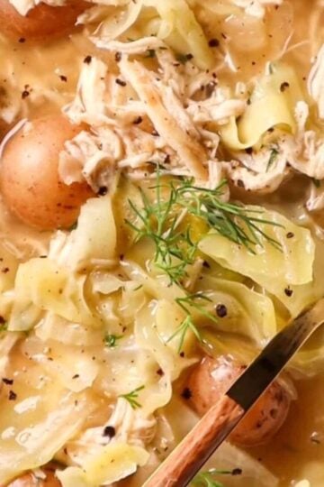 chicken cabbage soup