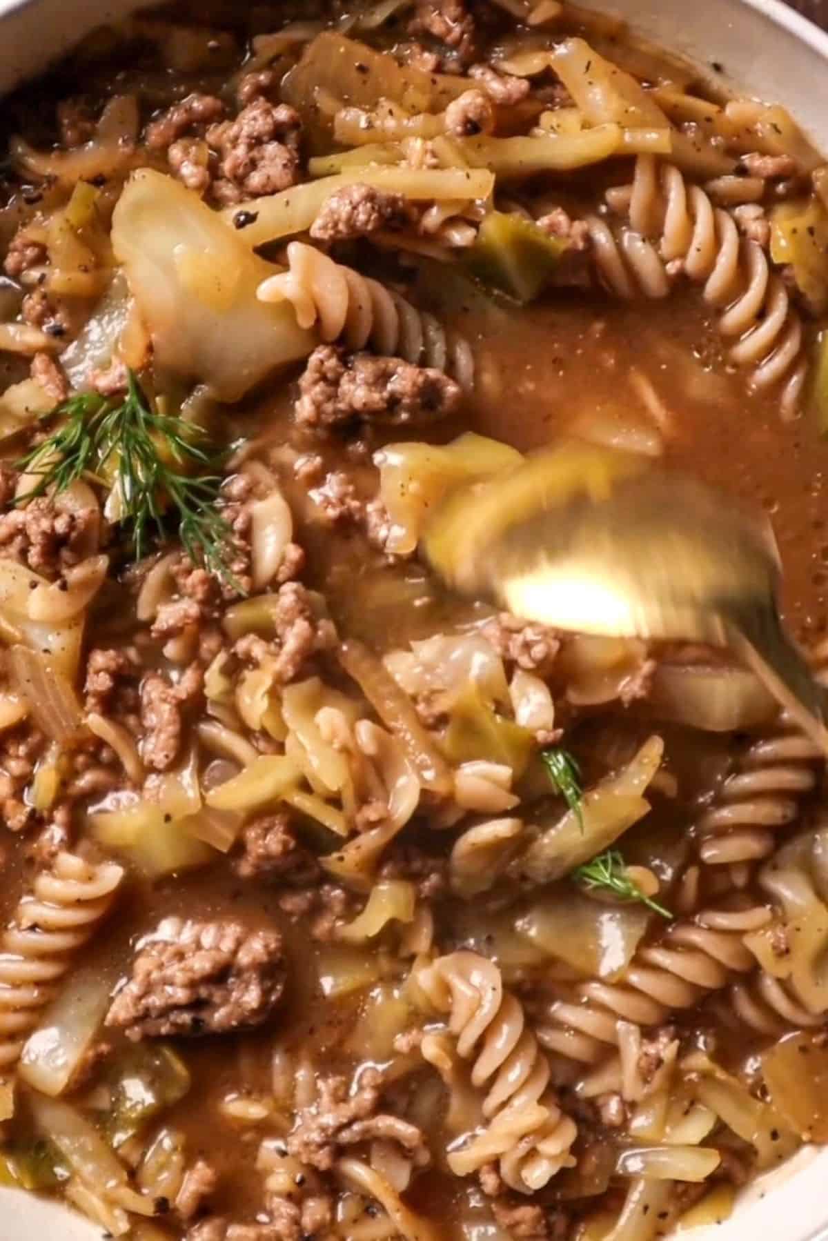 cabbage and ground beef soup