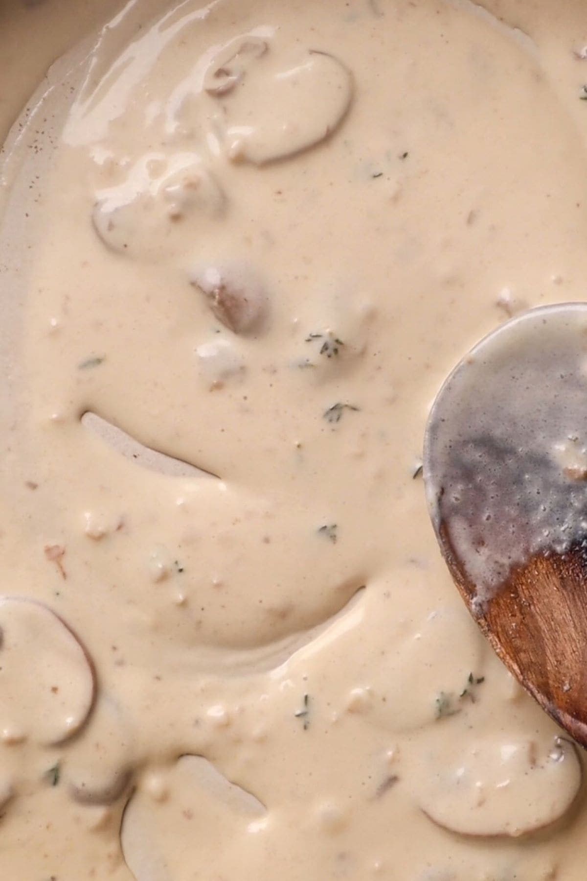 creamy mushroom sauce