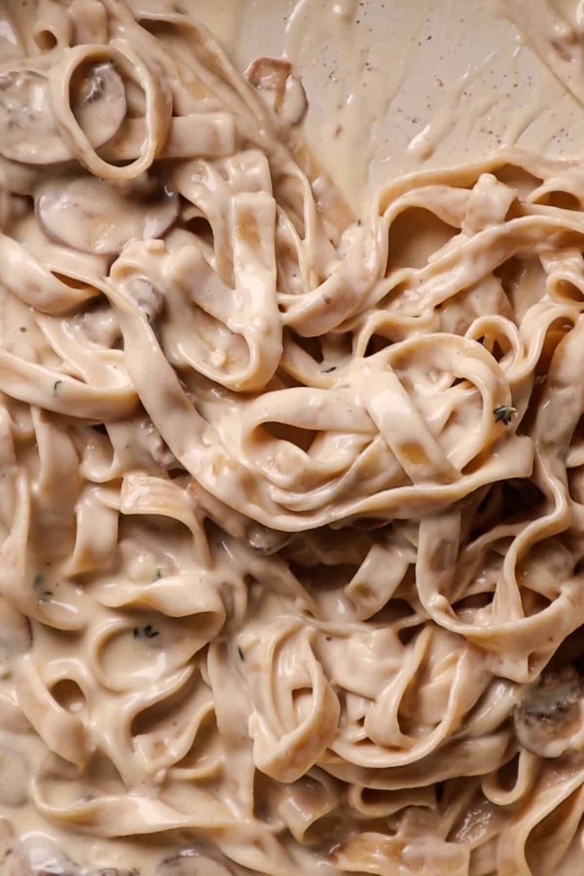 pasta in creamy mushroom sauce
