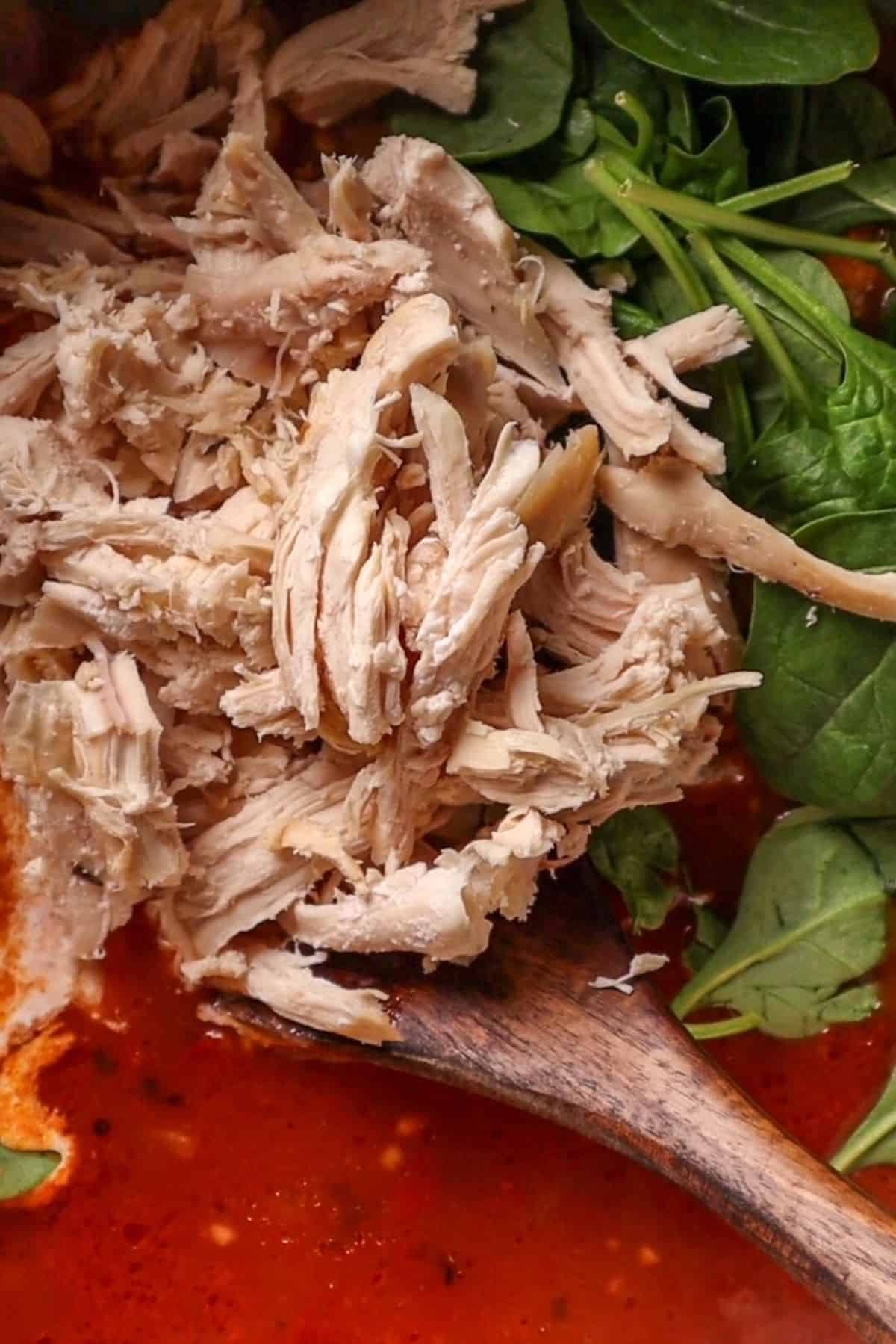 tomato gnocchi soup with chicken and spinach