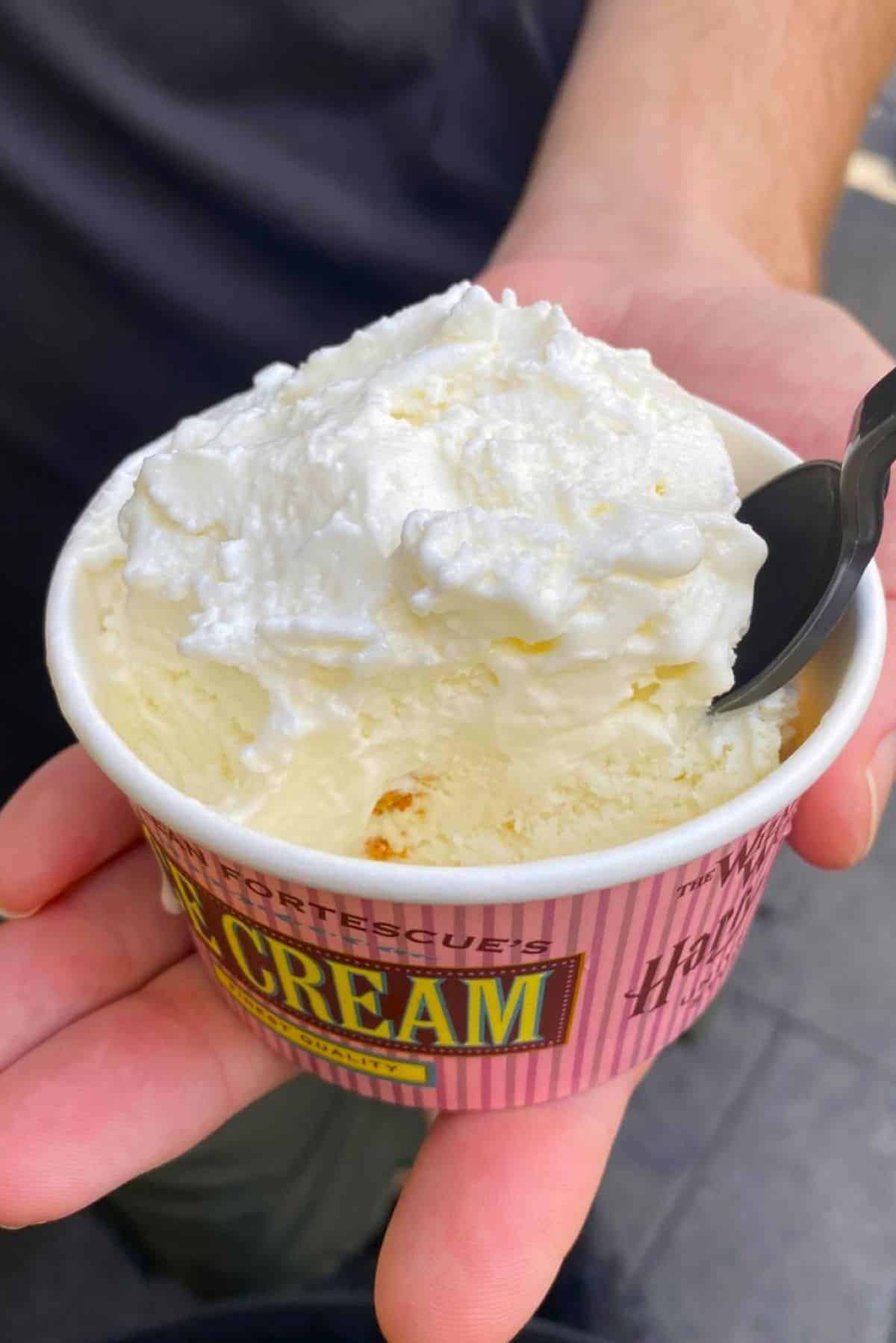 Florean Fortescue's Ice-Cream Parlour sticky toffee pudding ice cream