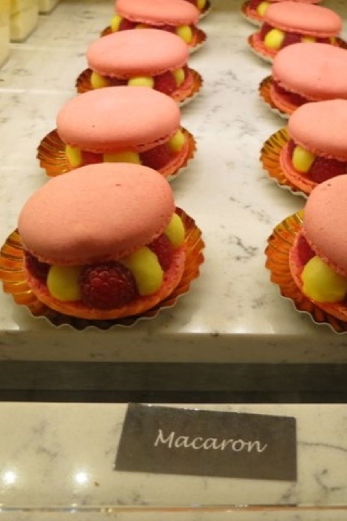 epcot les halles raspberry macaron