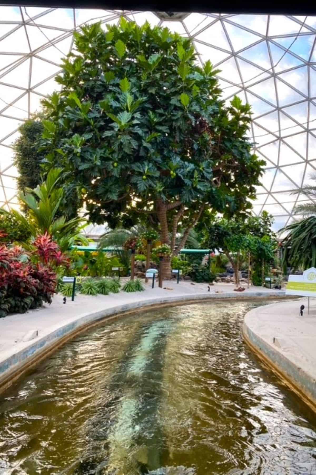 epcot living with the land inside the dome