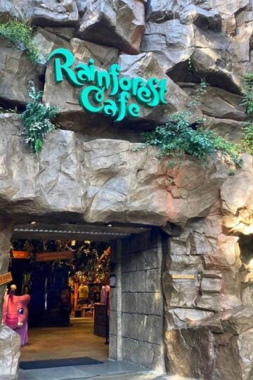 rainforest cafe animal kingdom post cover