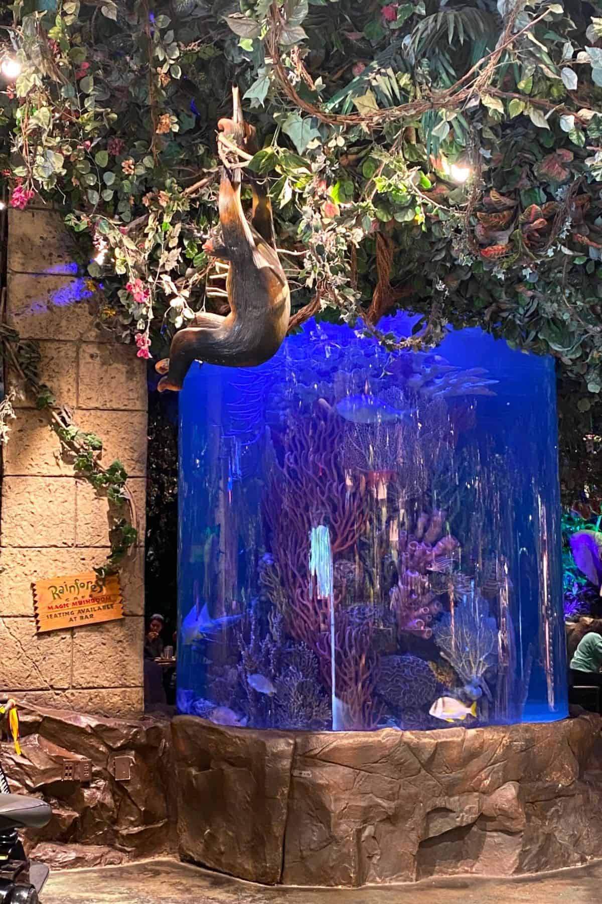 rainforest cafe interior aquarium