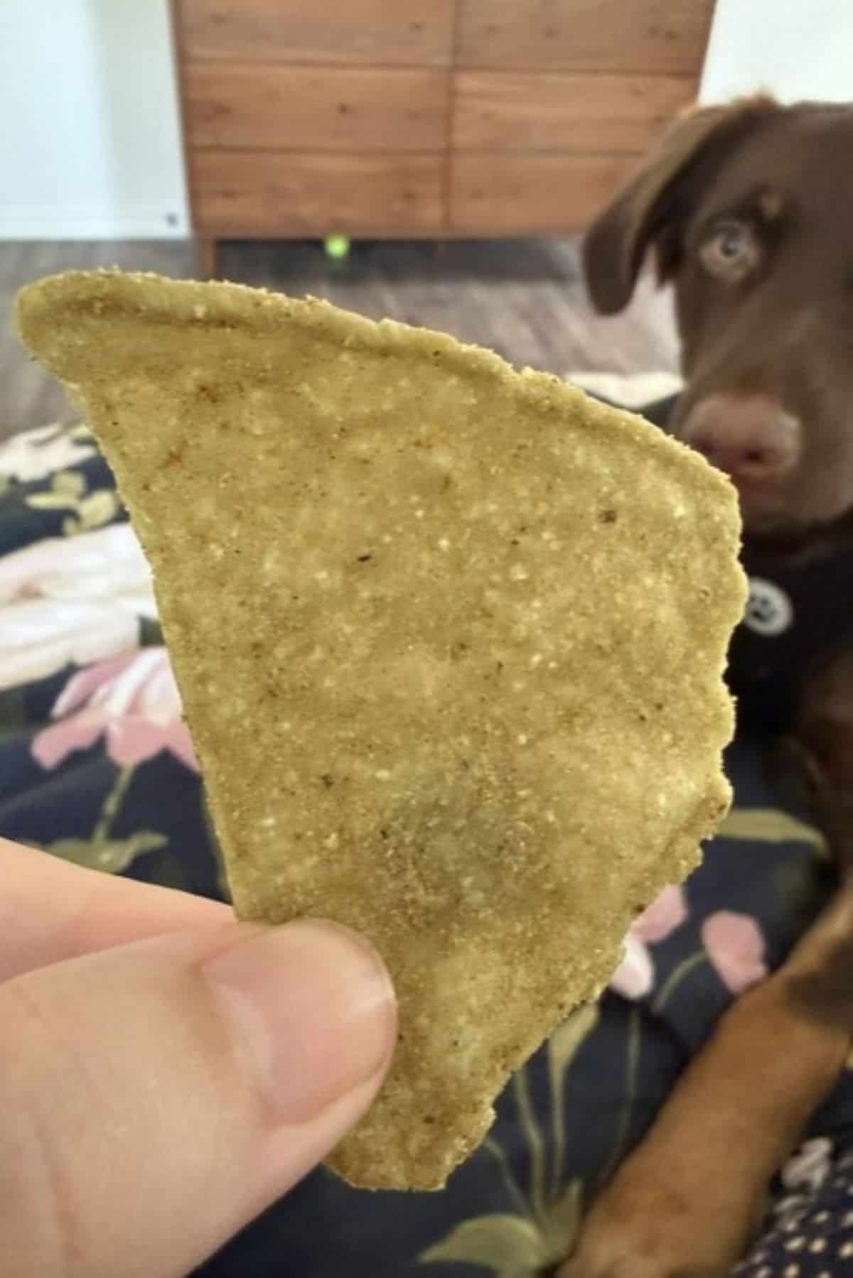 bettergoods guacamole flavored tortilla chips texture