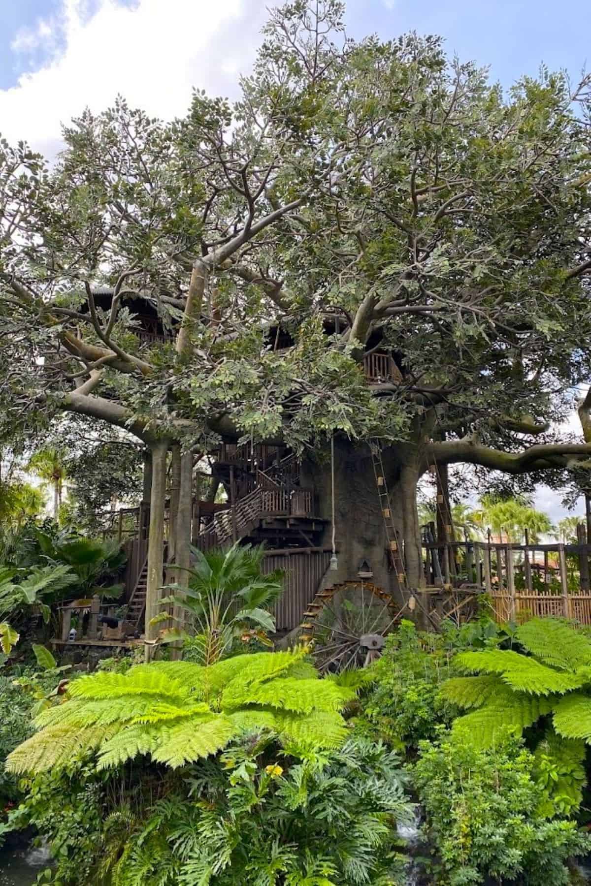 swiss family treehouse