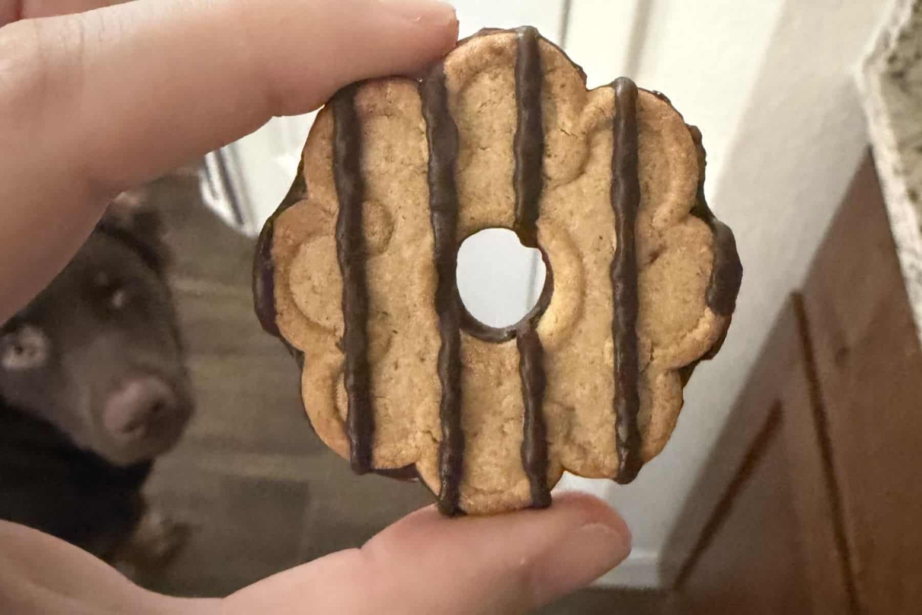 Goodie Girl Cookies Gluten Free Baked Fudge Striped Cookies top view