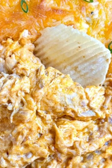 buffalo chicken dip recipe