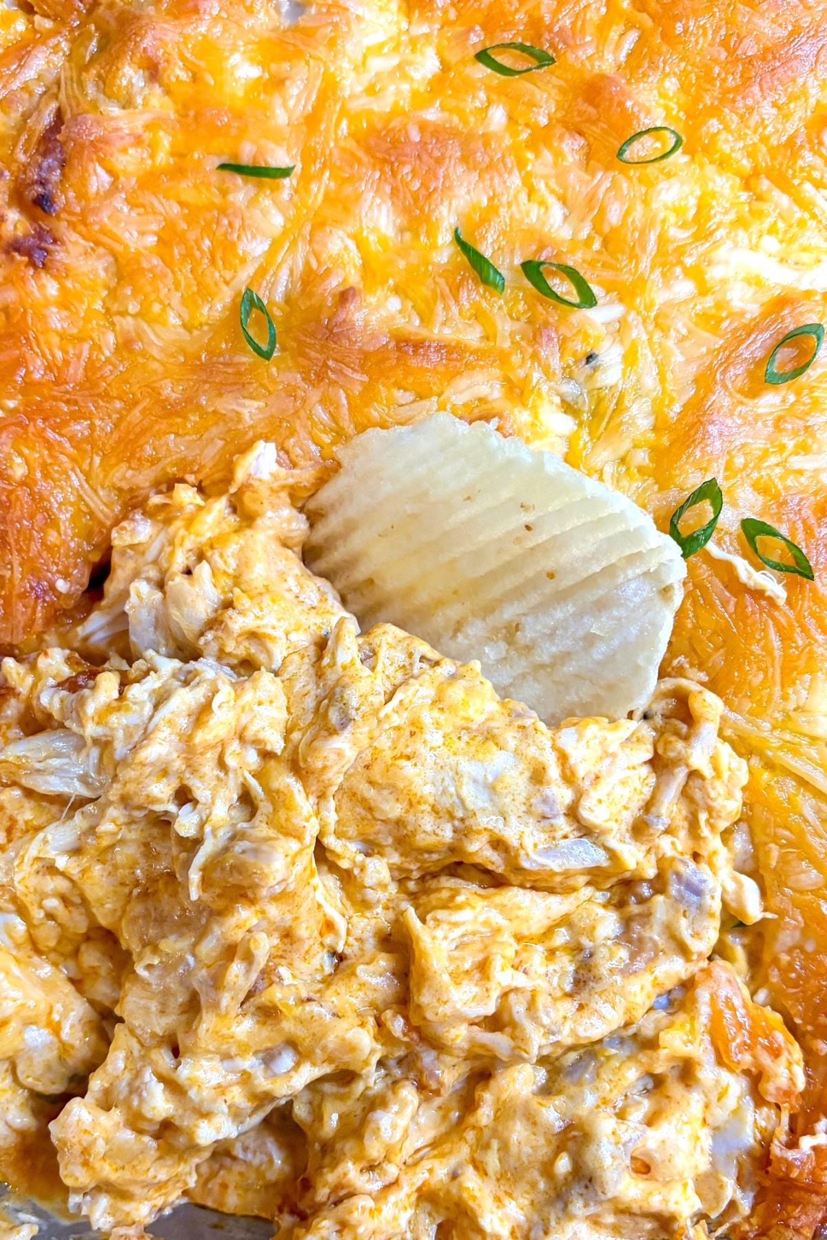 buffalo chicken dip