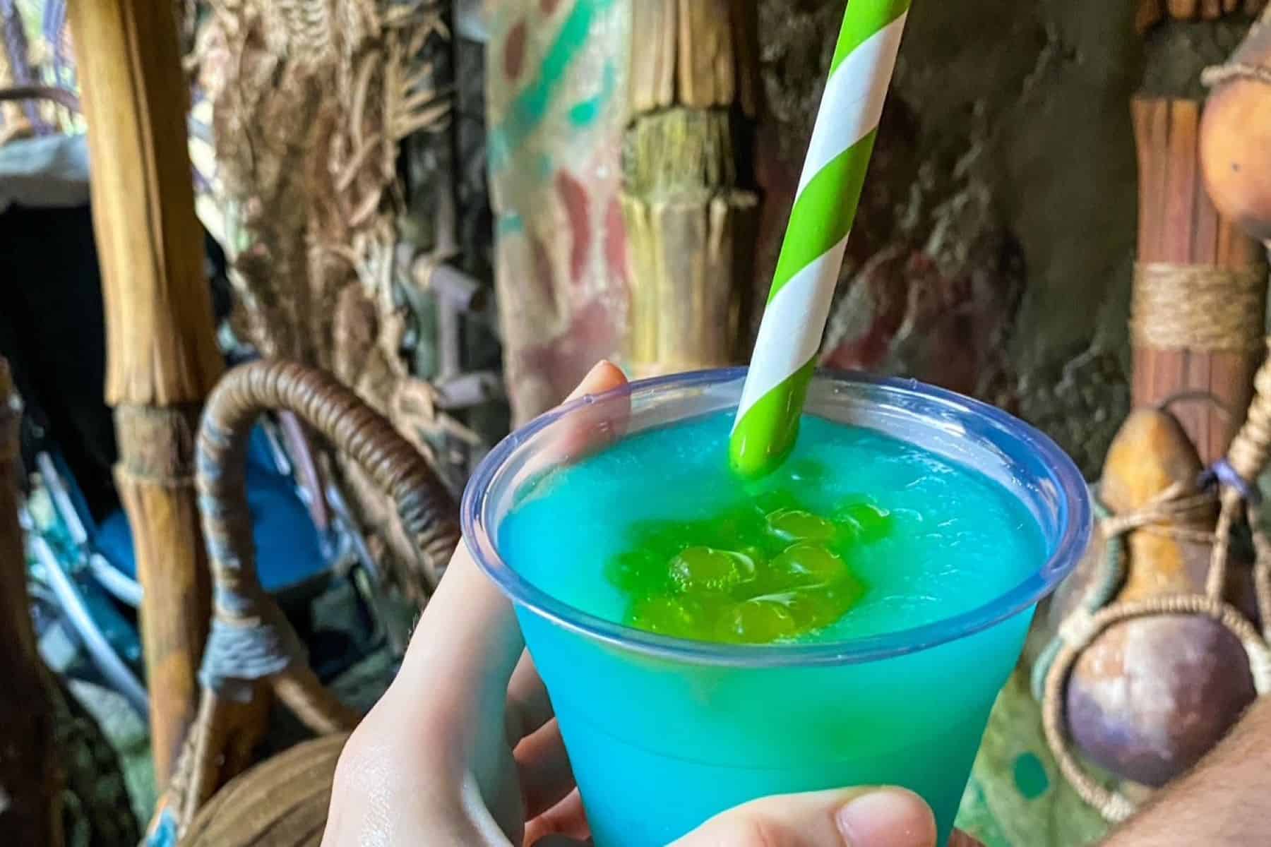 Mo’ara Margarita animal kingdom