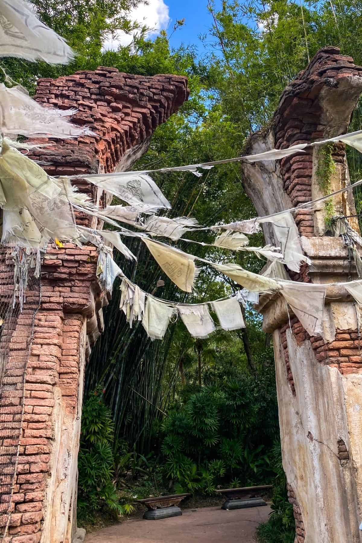 animal kingdom decor
