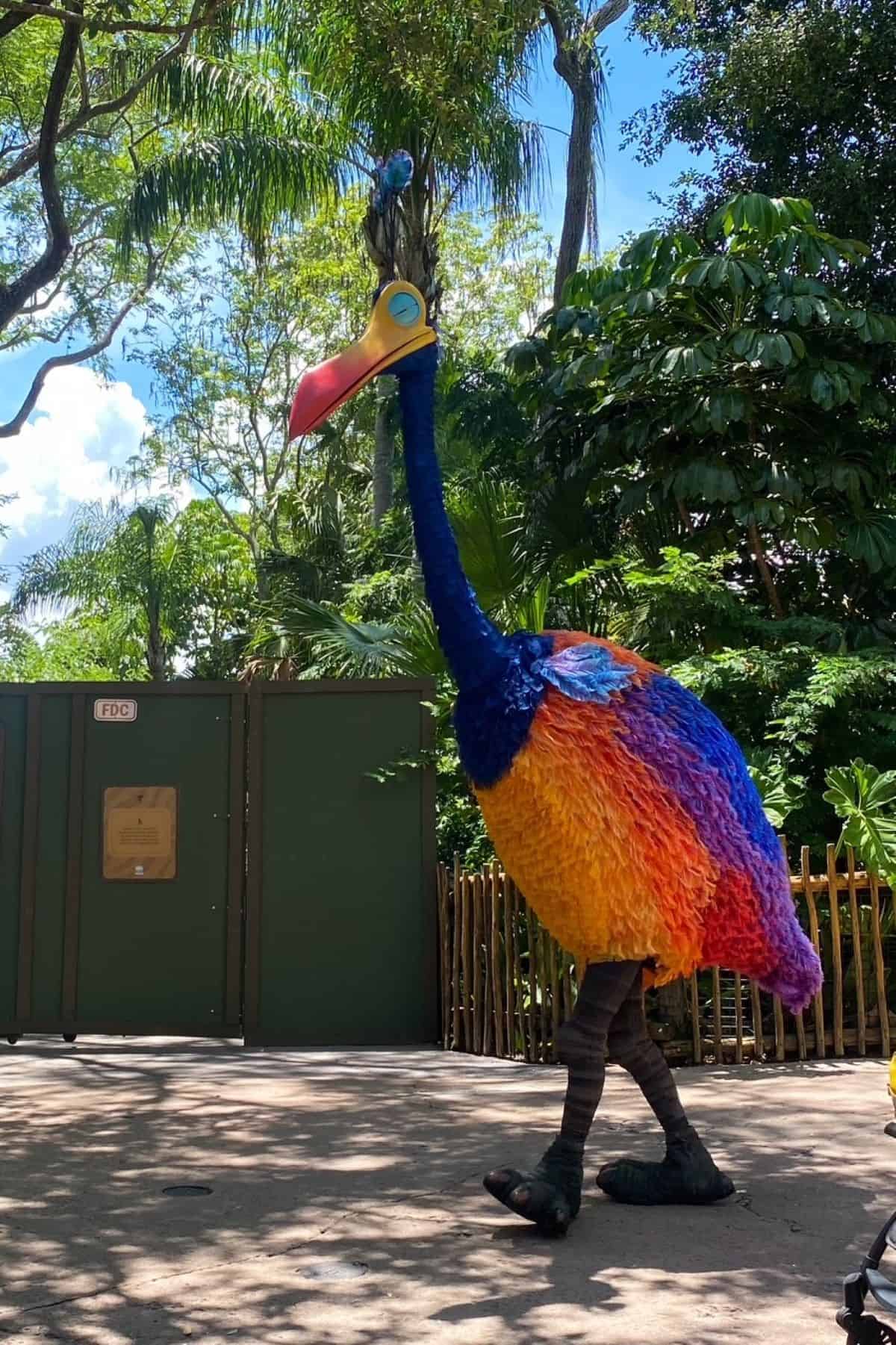 kevin animal kingdom