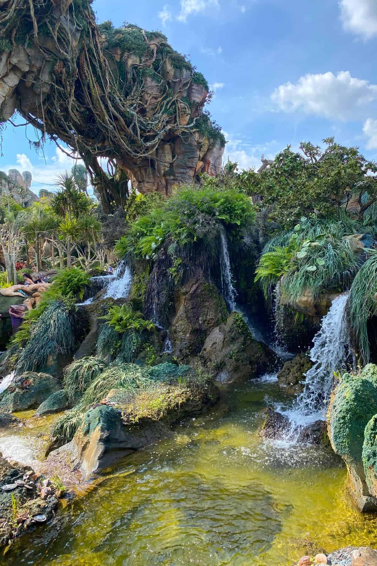 pandora decor animal kingdom